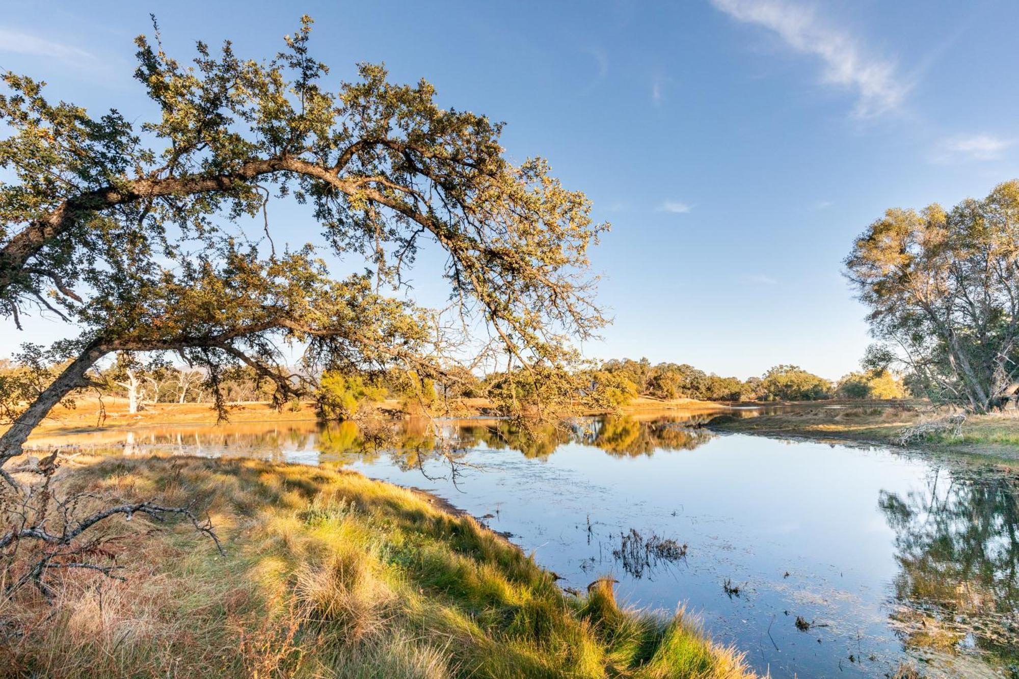 Rolling Oaks Ranch - 200 Acres Of Lakeside Beauty & Countryside Serenity มารีโปซา ภายนอก รูปภาพ