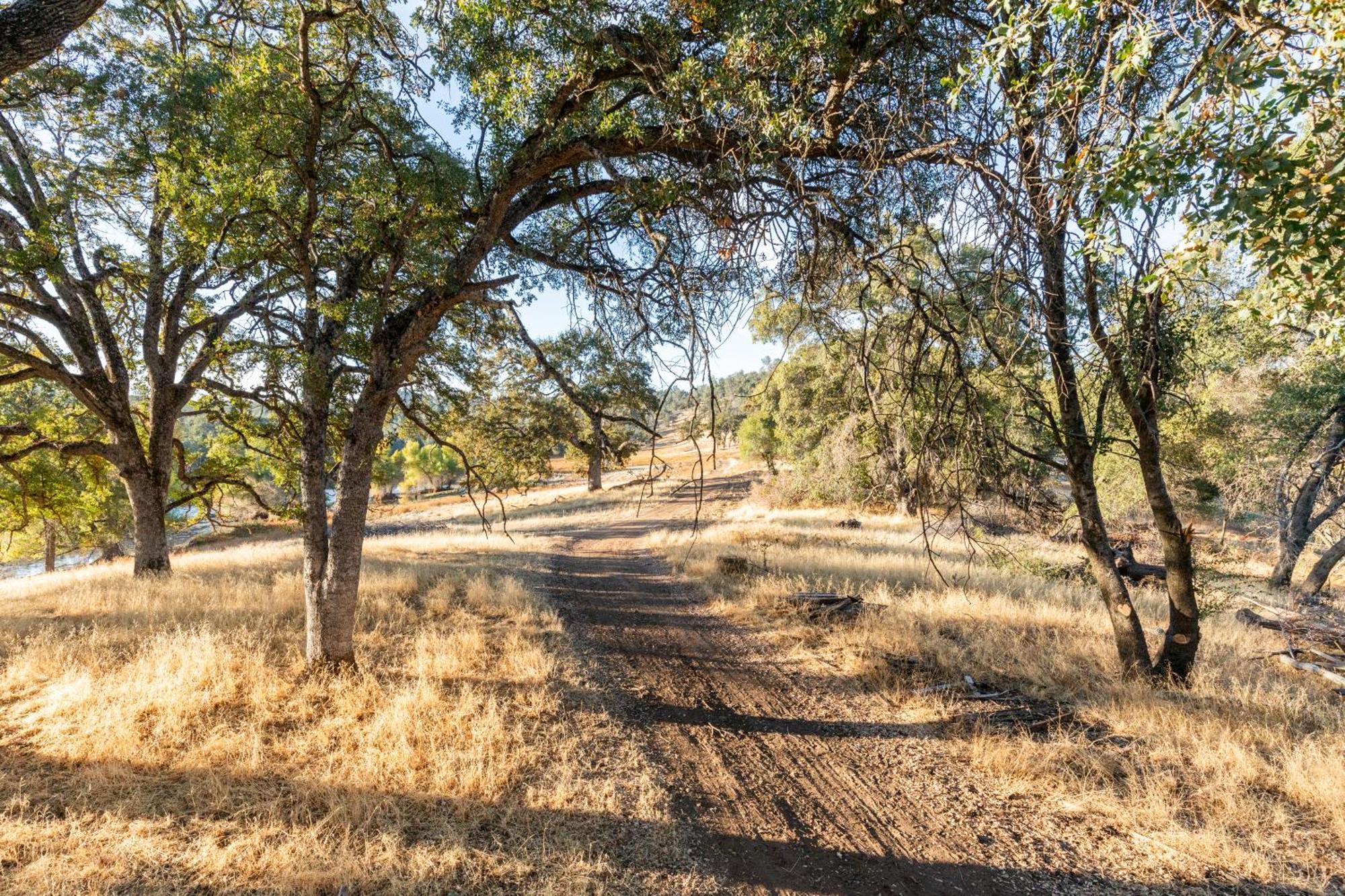 Rolling Oaks Ranch - 200 Acres Of Lakeside Beauty & Countryside Serenity มารีโปซา ภายนอก รูปภาพ