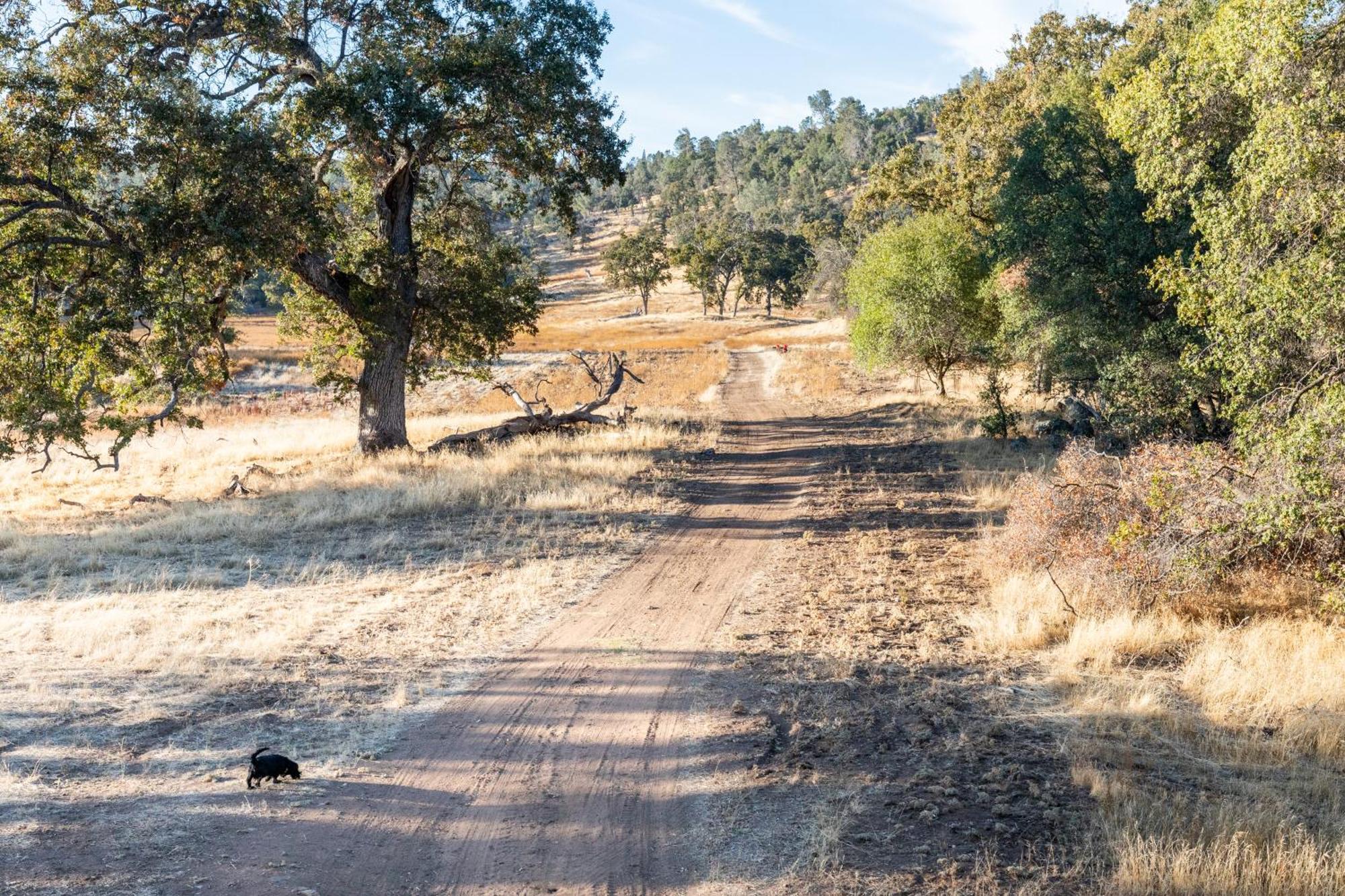 Rolling Oaks Ranch - 200 Acres Of Lakeside Beauty & Countryside Serenity มารีโปซา ภายนอก รูปภาพ