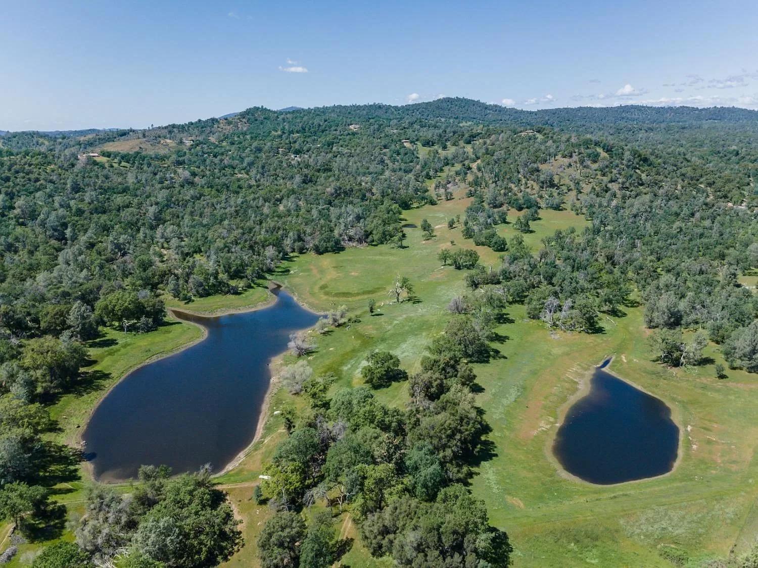 Rolling Oaks Ranch - 200 Acres Of Lakeside Beauty & Countryside Serenity มารีโปซา ภายนอก รูปภาพ