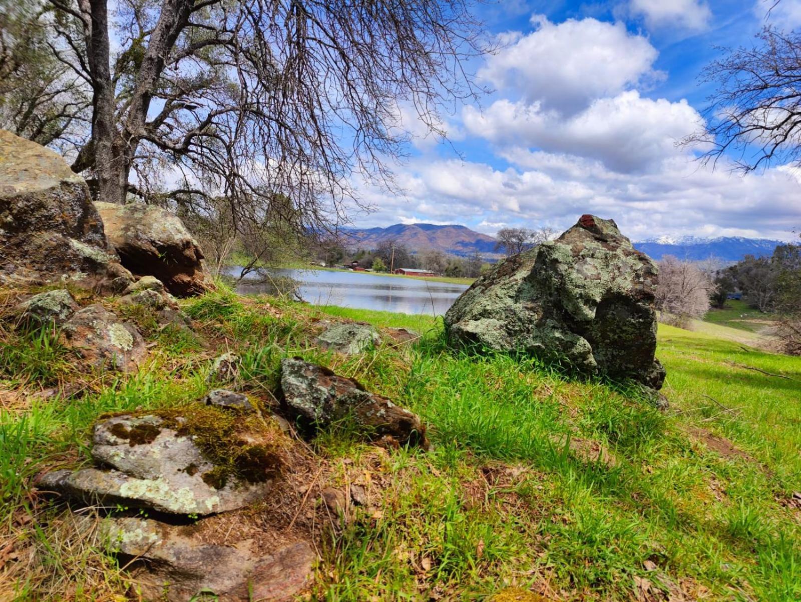 Rolling Oaks Ranch - 200 Acres Of Lakeside Beauty & Countryside Serenity มารีโปซา ภายนอก รูปภาพ