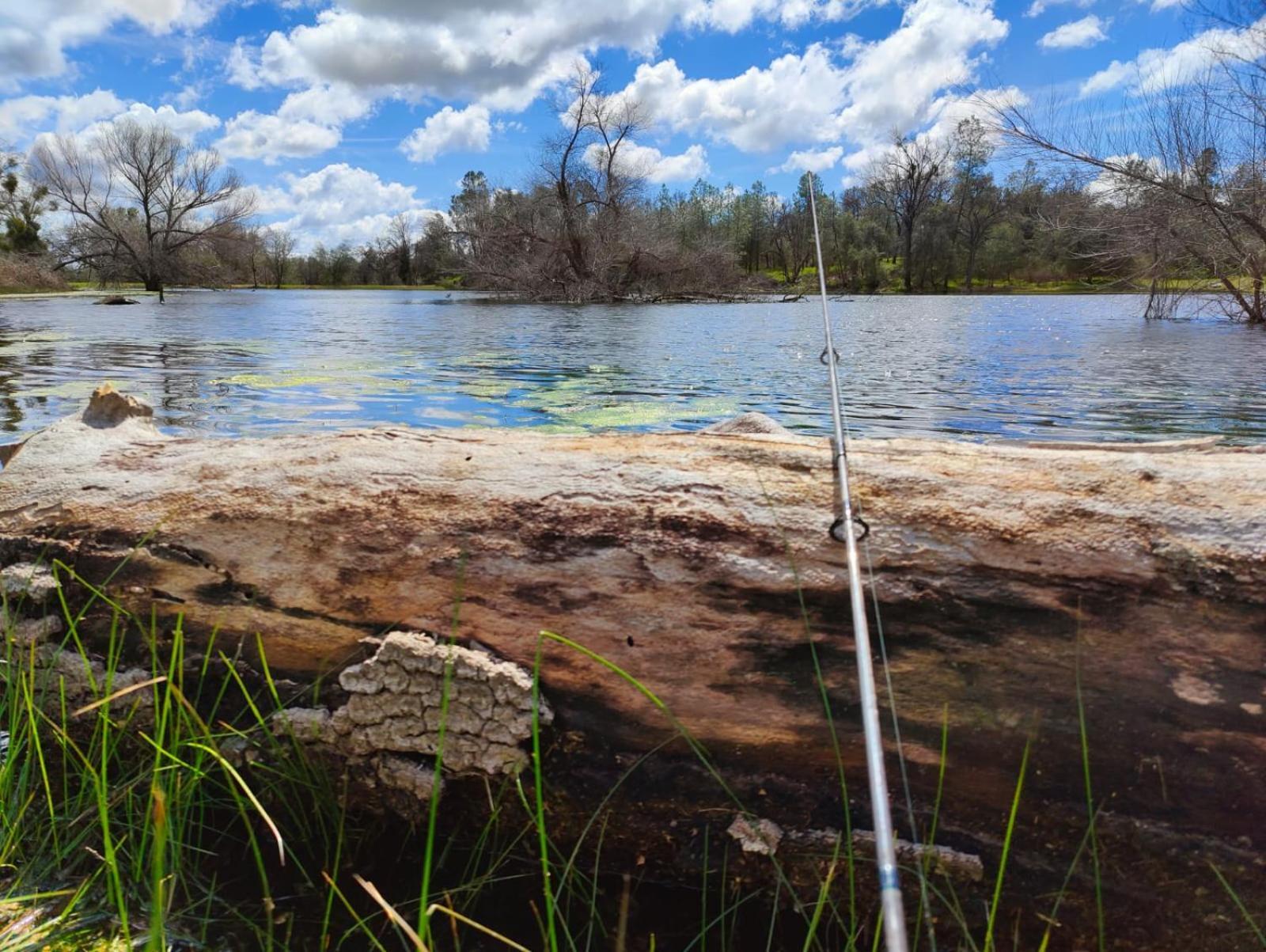 Rolling Oaks Ranch - 200 Acres Of Lakeside Beauty & Countryside Serenity มารีโปซา ภายนอก รูปภาพ