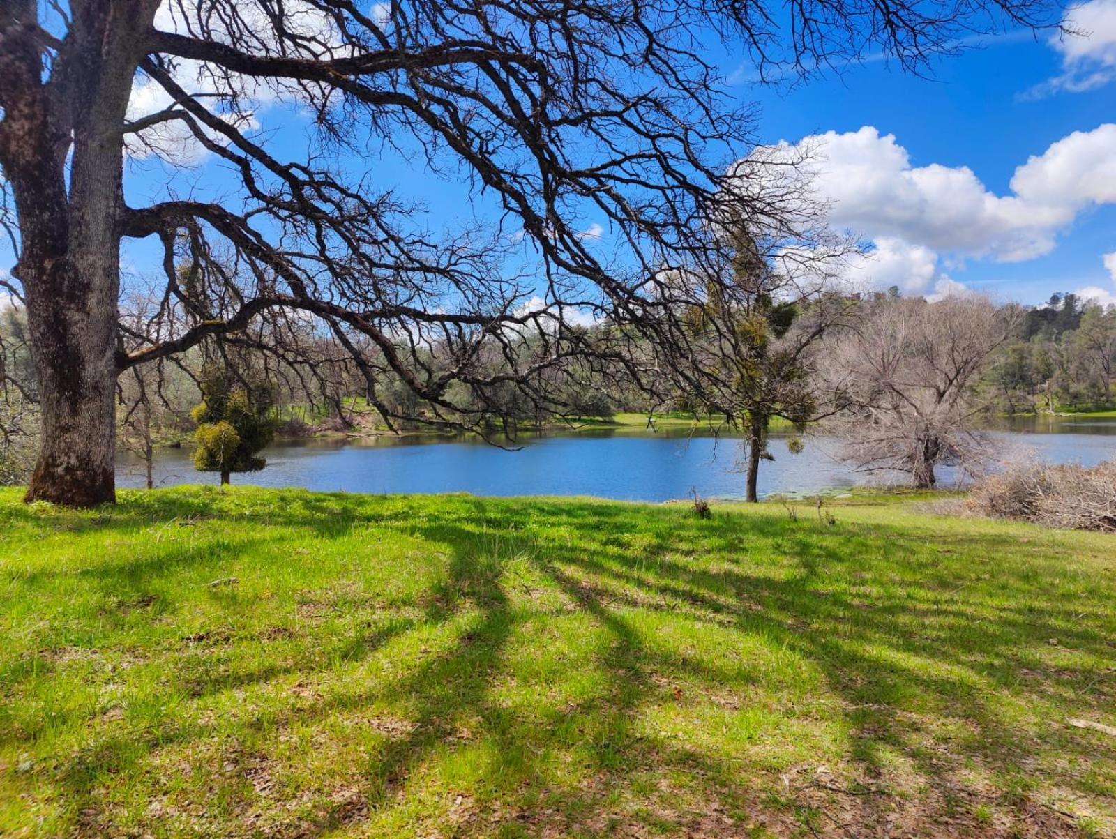 Rolling Oaks Ranch - 200 Acres Of Lakeside Beauty & Countryside Serenity มารีโปซา ภายนอก รูปภาพ